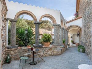 Lire la suite à propos de l’article Neque adipiscing an cursus